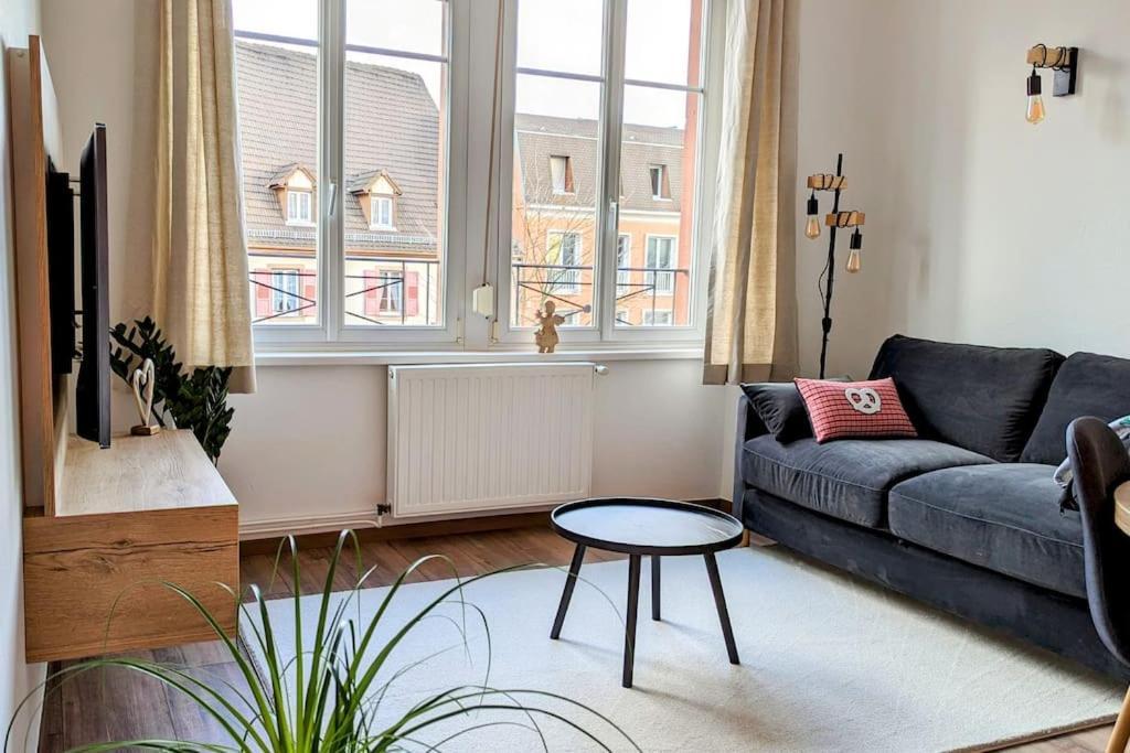 Appartement Chez Mar'Tine Нидербронн-ле-Бен Экстерьер фото